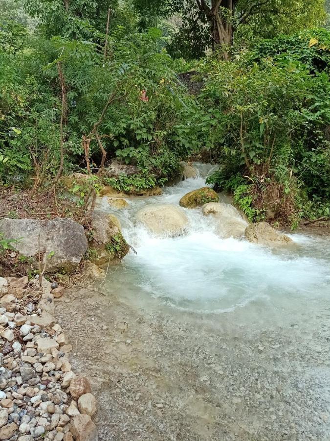 Shivanjal Wellness And Accommodation Ришикеш Экстерьер фото